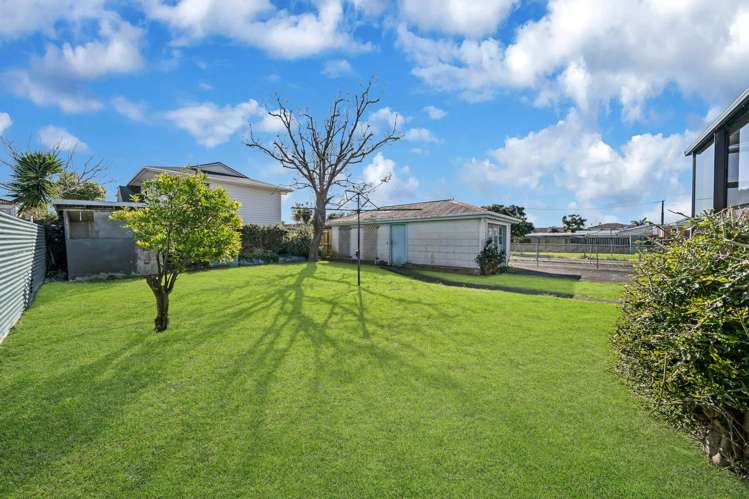 113 Ash Street Avondale_4