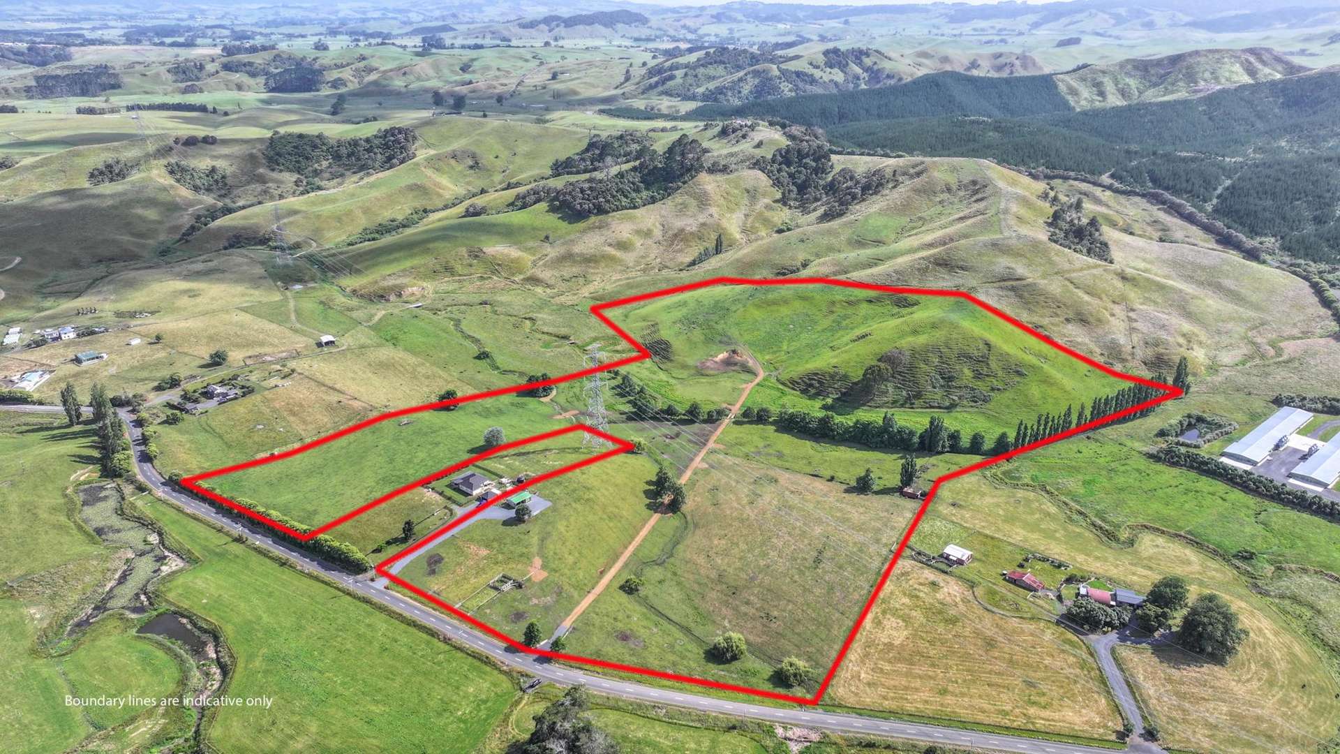 880 Kopuku Road Maramarua Forest_0