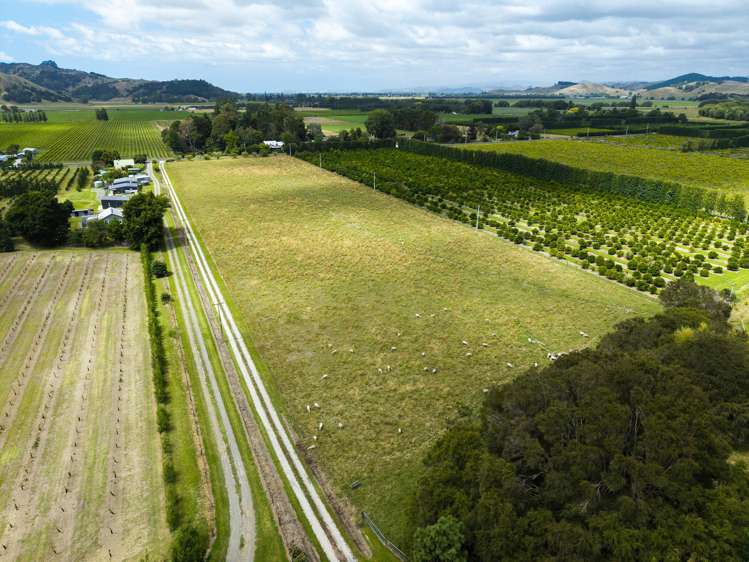 63 Ngakoroa Road Ormond_25