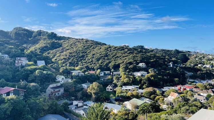 73B Airlie Road Plimmerton_14