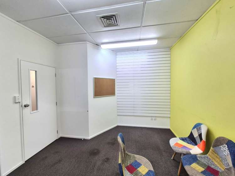 349 Dominion Road Mt Eden_4