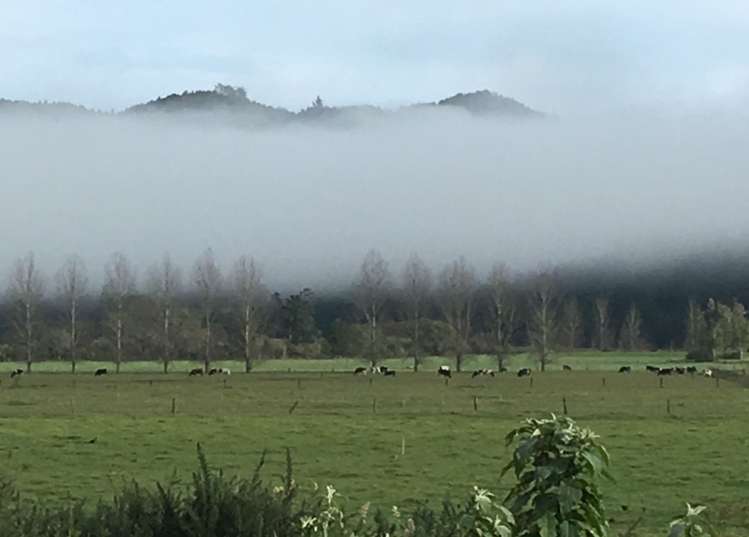 5/2 North Rd Kawakawa_18
