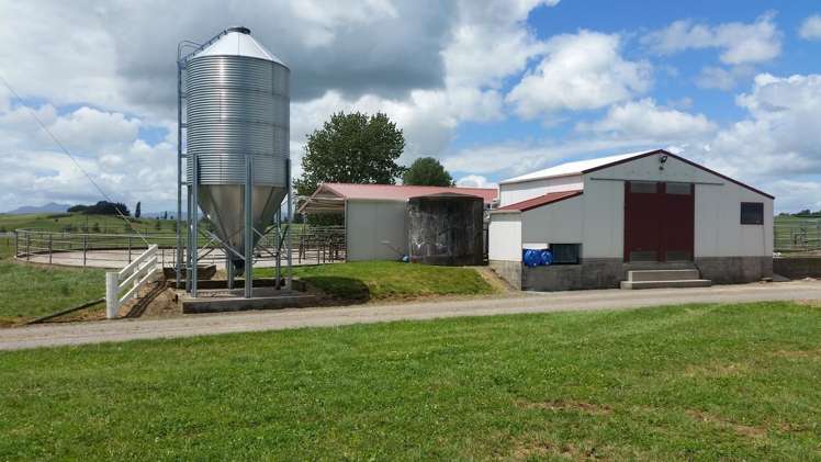 851 Hutchinson Road Morrinsville_2