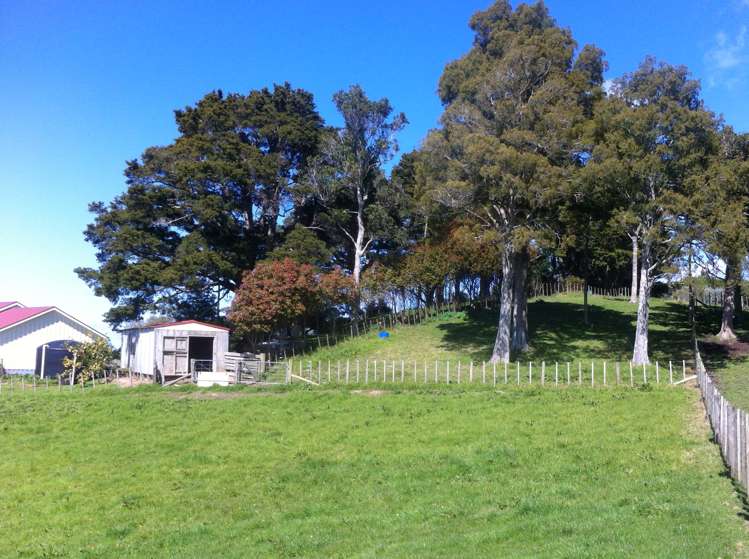 24 Totara Rise Maungaturoto_24