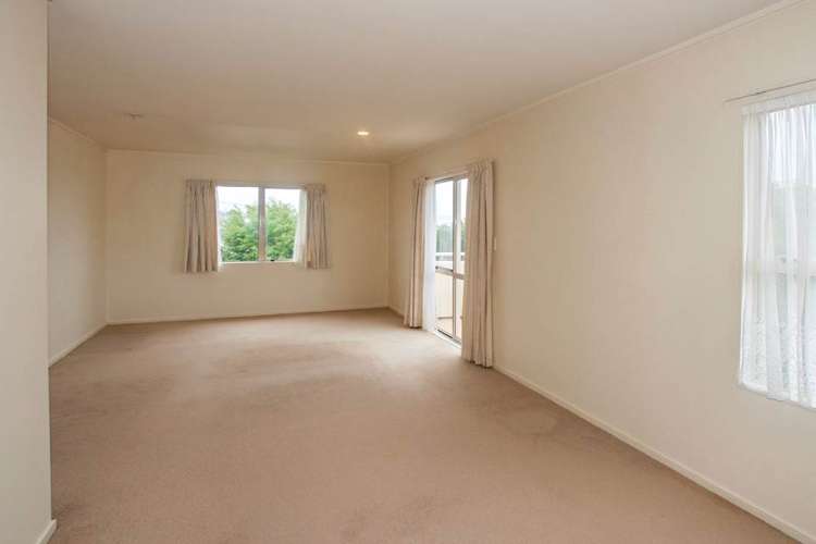 17e Cradock Street Avondale_10