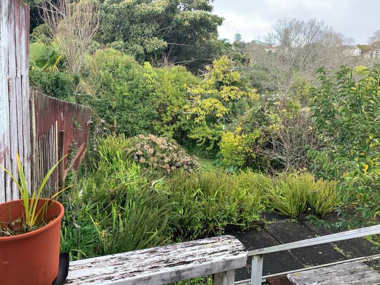 12 Stratford Street Parnell_5