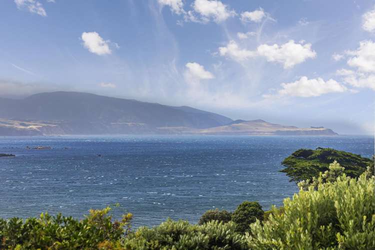 93 View Road Houghton Bay_19