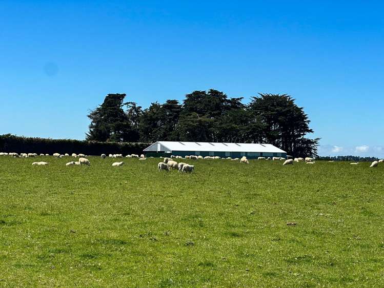 1589 Riverton Wallacetown Highway Thornbury_4