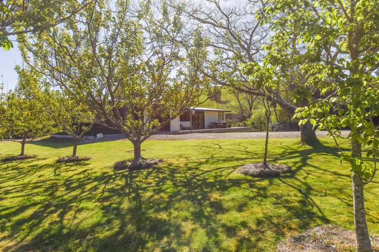 915 Thorpe-Orinoco Road, Dovedale Ngatimoti_10