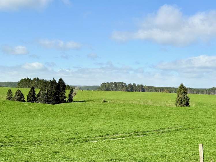 753 Pongakawa Bush Road Pongakawa_15