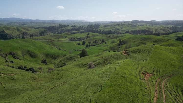 953 State Highway 3 Piopio_22