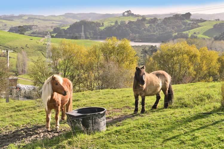 6b Mountain Road Kaiwaka_13