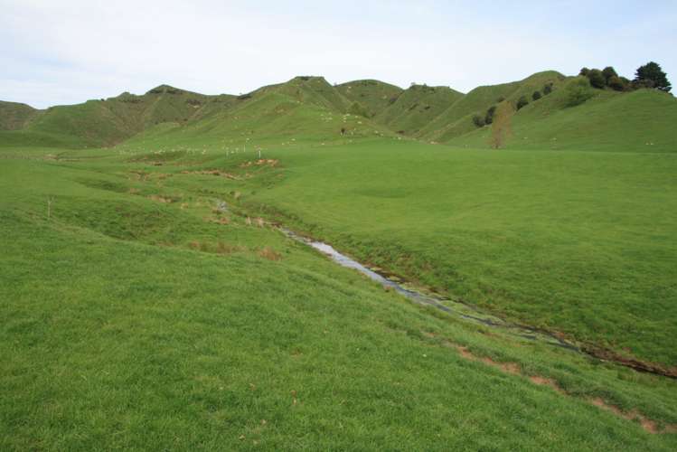 1756 Rawhitiroa Road Eltham_5