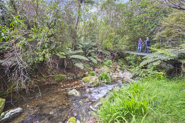 414 Busby Road Hauraki Surrounds_3