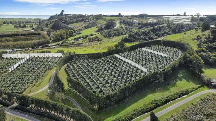 155a Gow Road Opotiki Coastal_13