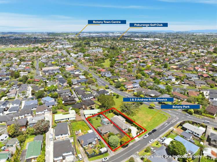1 Andrew Road Howick_1