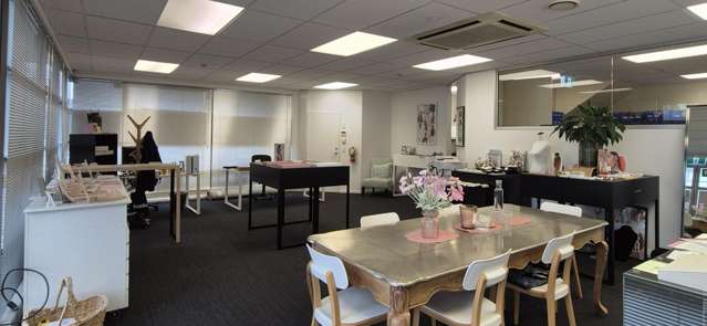 11 Leslie Hills Drive Riccarton_3