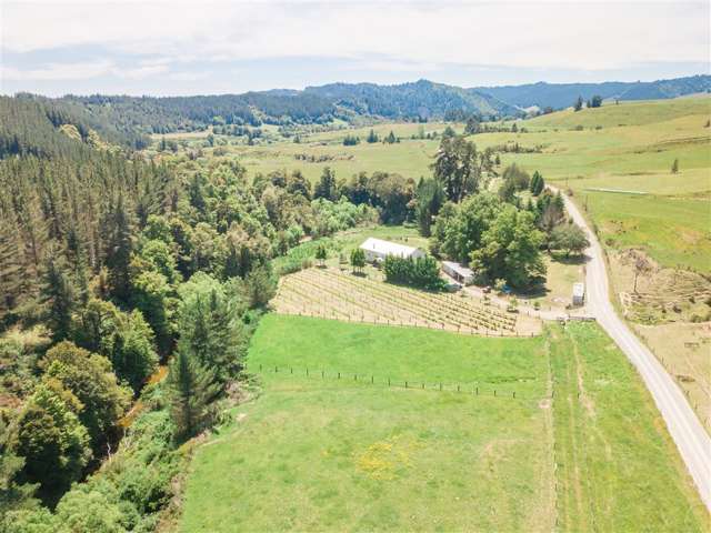 1658 Tadmor-Glenhope Road Tapawera_3