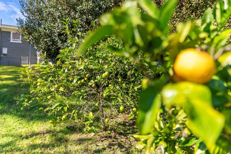 16 Mawson Avenue Torbay_17