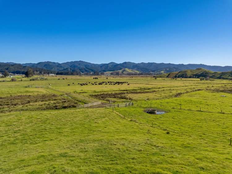 Lot 1 Proposed Subdivision of 157 Sh25 Te Rerenga_8