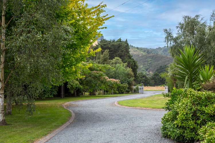 2087 State Highway 2 Mount Bruce_25