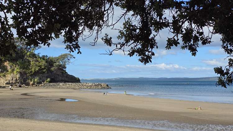 87 Castor Bay Road Castor Bay_25