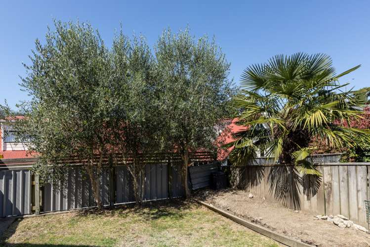 1a Harvey Road Bluff Hill_17