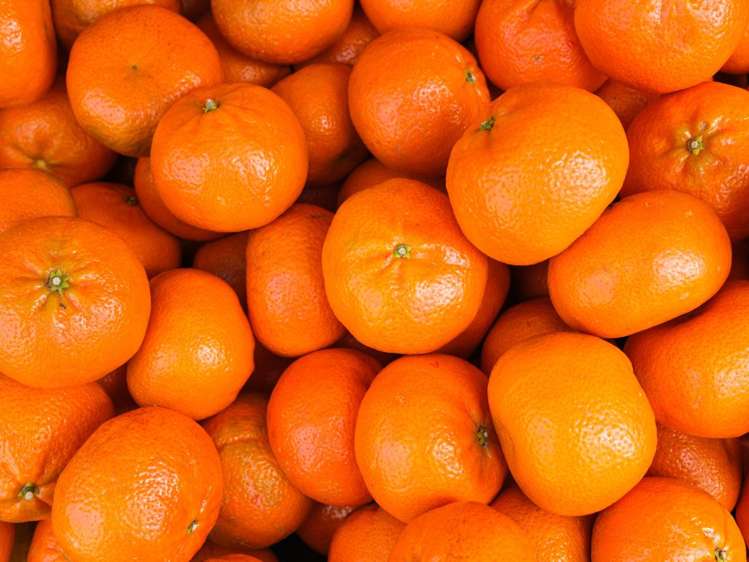 581D Kerikeri Road Kerikeri_6