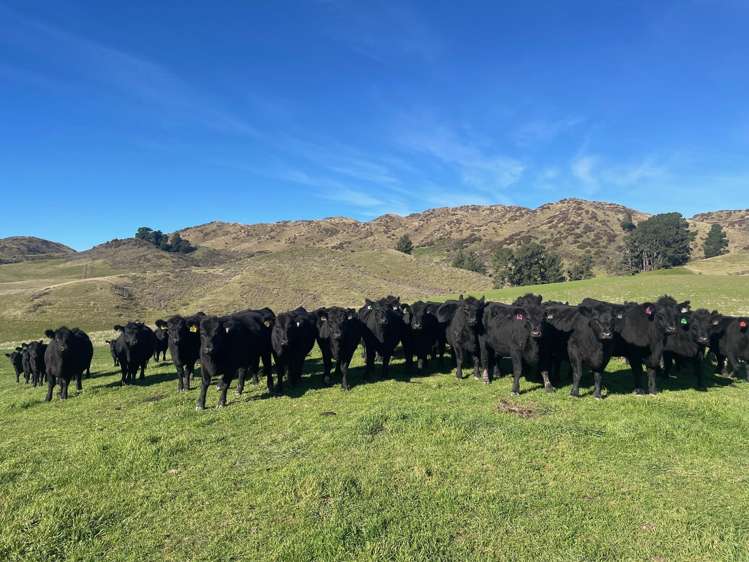 512 Karaka Road Waikari_7