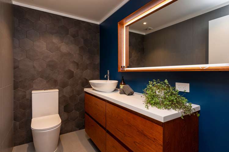 31g Cradock Street Avondale_22