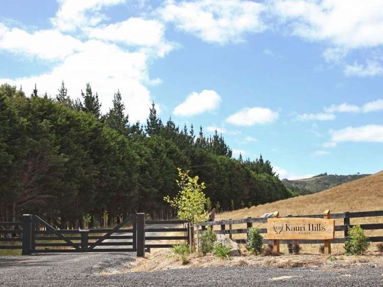 390 Monument Road Clevedon_6