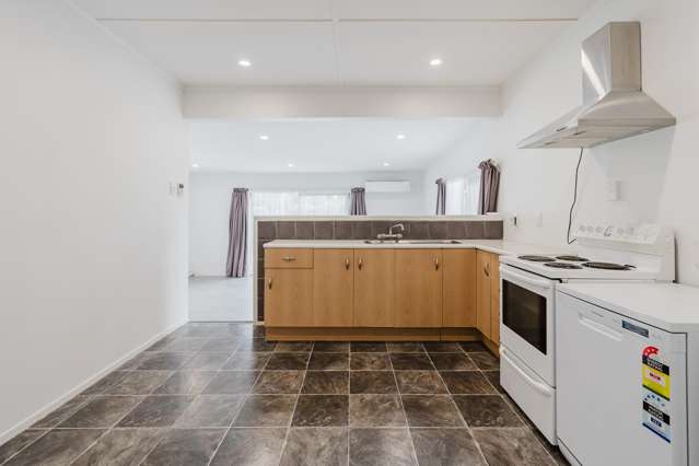 64 Nixon Street Hamilton East_4
