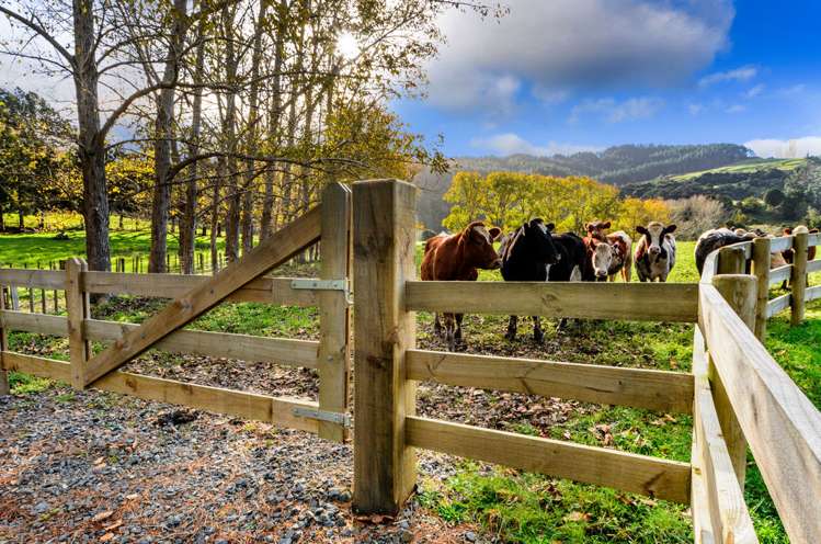 1149c Whangaripo Valley Road Whangaripo_8