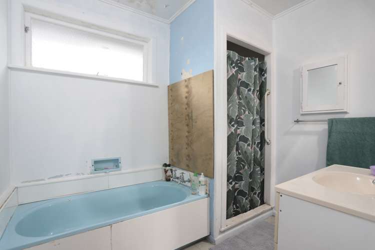 50 Shoreham Street Avondale_9