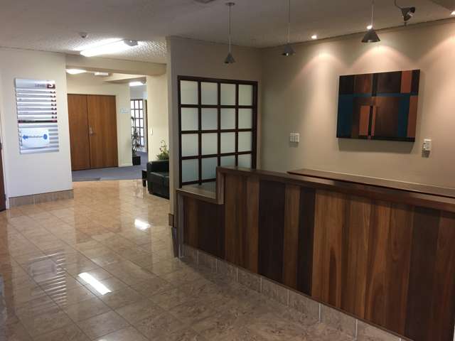 65 Rangitikei Street Palmerston North Central_3