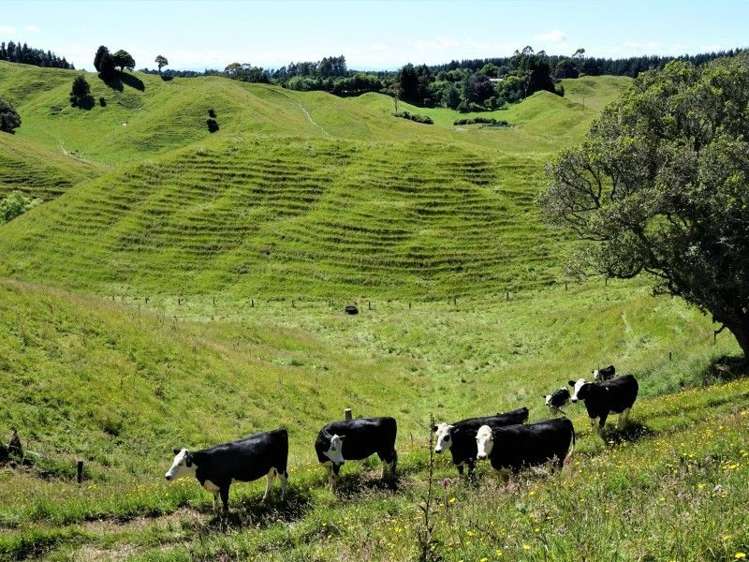 1788 Manawahe Road Manawahe_12