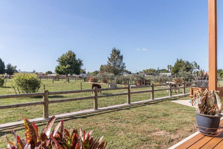 58a West Street Morrinsville_17