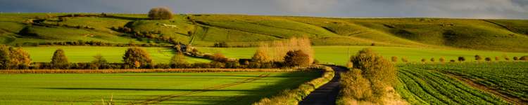 Witherlea, Marlborough