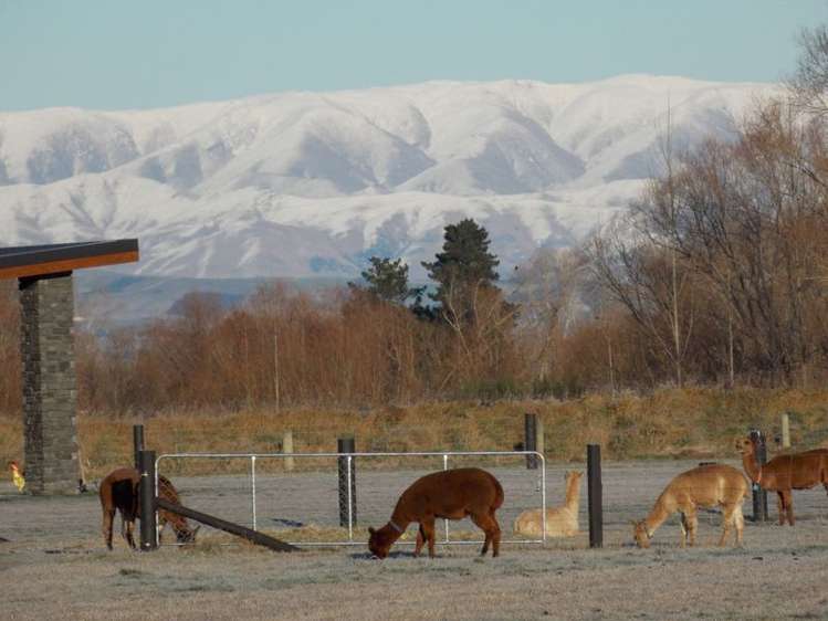 34 Grant Street Temuka_15