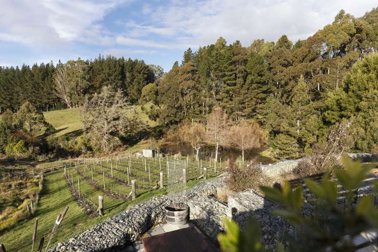 109 Redvale Road Redwood Valley_1