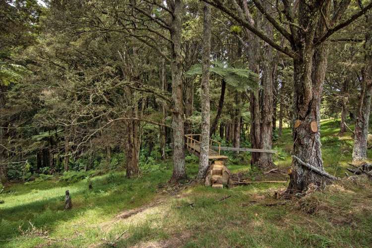 59 Jounneaux Road Kamo_22