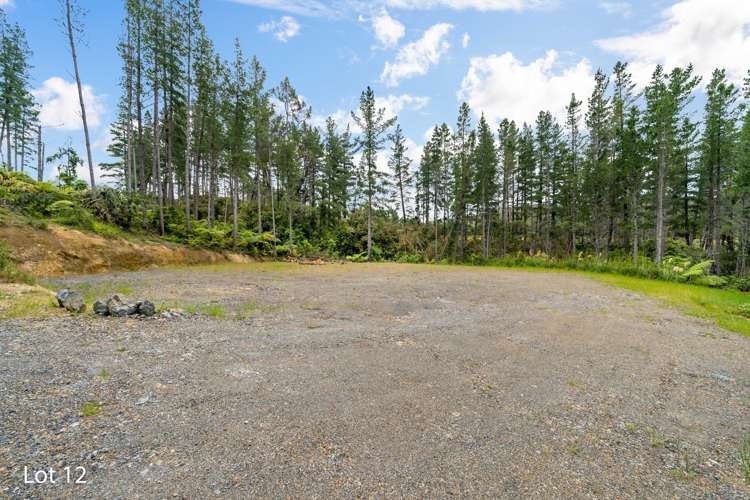 46 Crest Road Akatarawa_10