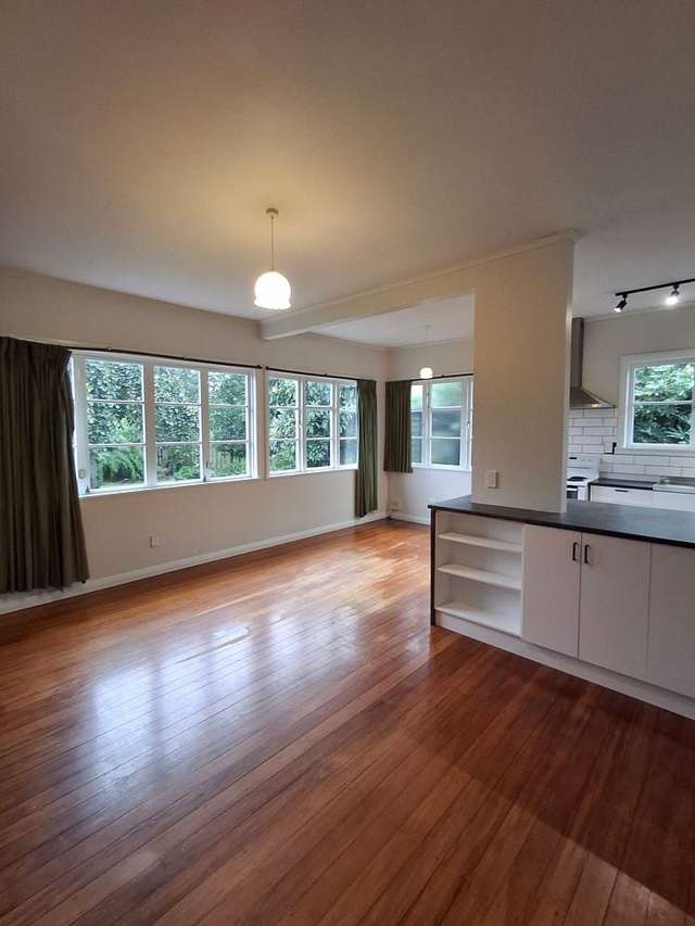 33 Bledisloe Terrace Hamilton East_2