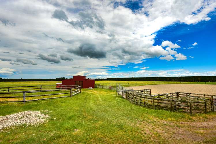 1495 Telegraph Road Darfield_19