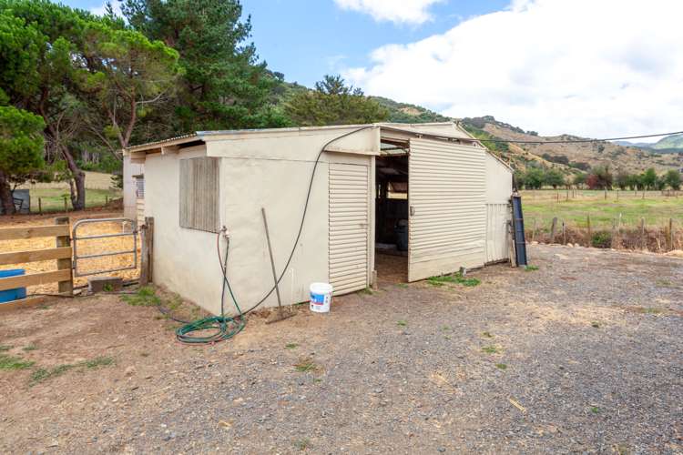 141 Neavesville Road Puriri_24