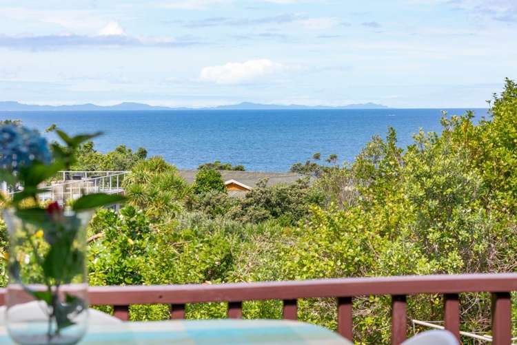 21 Wonderview Road Leigh_2