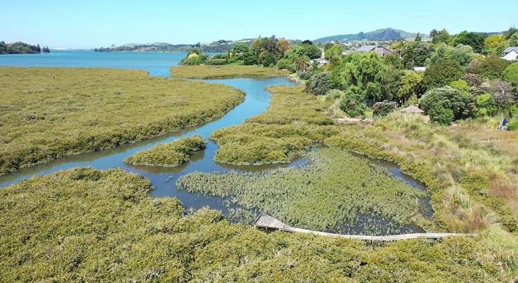 99 Welcome Bay Road Welcome Bay_16