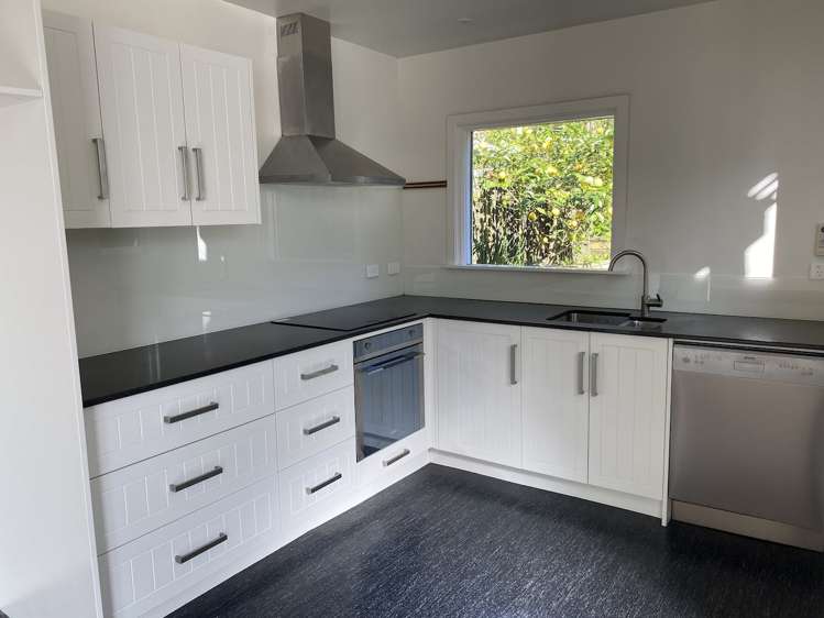 5 Devon Street Aro Valley_3