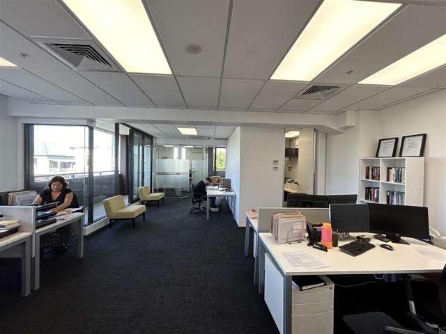 168 Parnell Road Parnell_1