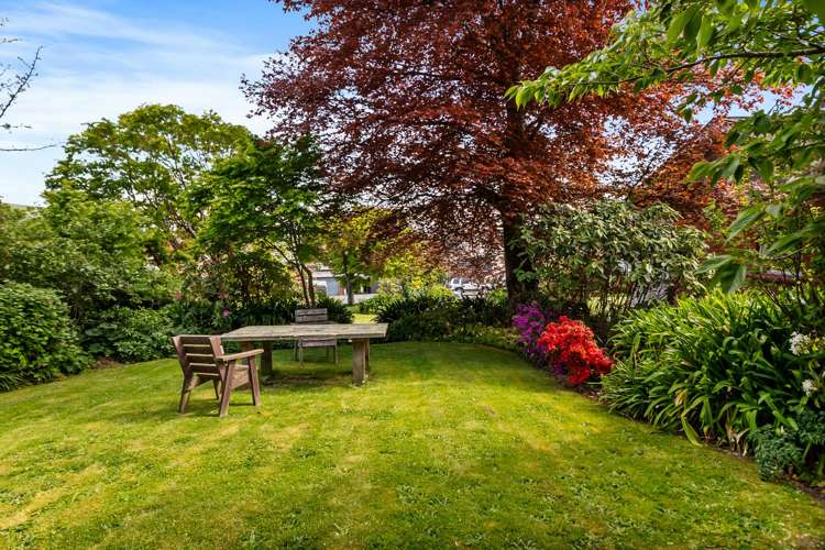 10 White Street Waimataitai_24